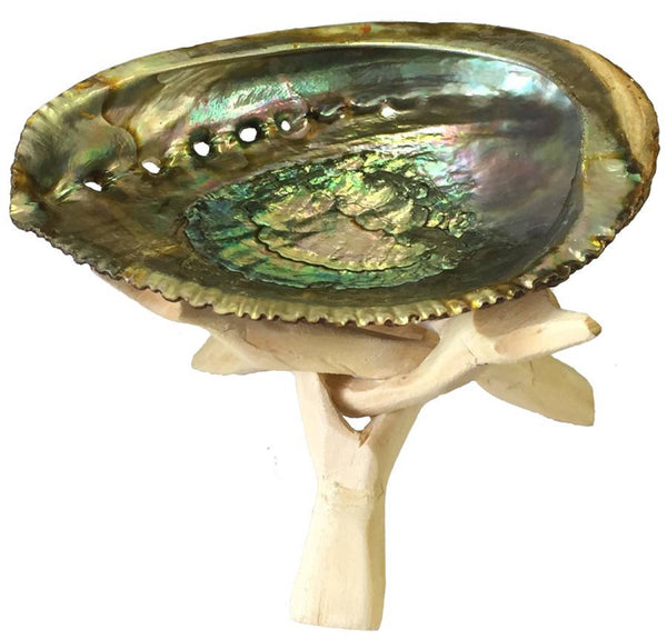 Abalone Shell Ash Tray/ Wooden Stand /  Sage