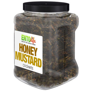 Honey Mustard Flavored Cricket Snack - Pound Size