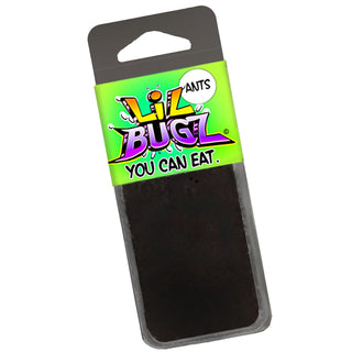 Lil Bugz | Edible Black Ants