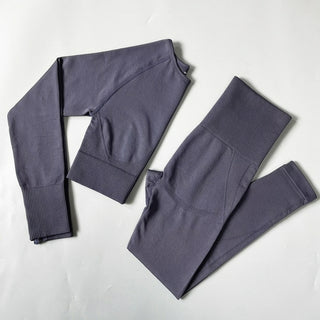 Buy shirts-pants-gray 2/3/4PCS Seamless Women Yoga Set Workout Sportswear Gym Clothes