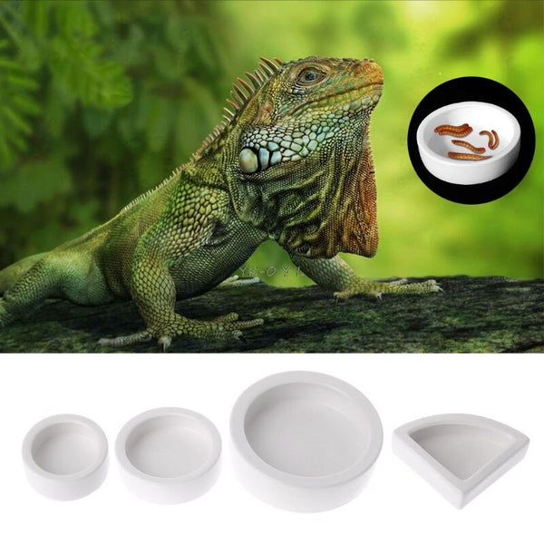 Ceramics Reptile Feeder Water Food Dish Feeding Bowl Turtle Lizard Snake Basin NEWEST L29K
