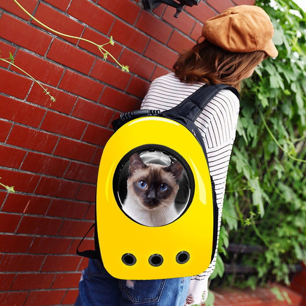 Breathable Cat Carrier Puppy Kitten Carrier