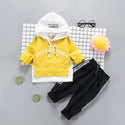 Hooded+Pant 2pcs Outfit Suit Boys Clothing Sets