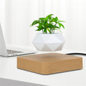 Levitating Air Bonsai Pot Flower Pot Planters Magnetic Suspension Pot