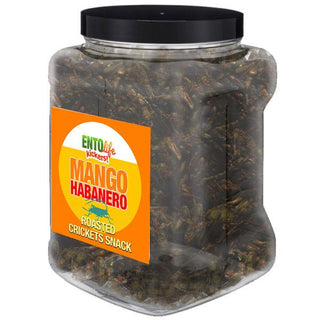 Habanero Mango Flavored Cricket Snack - Pound Size